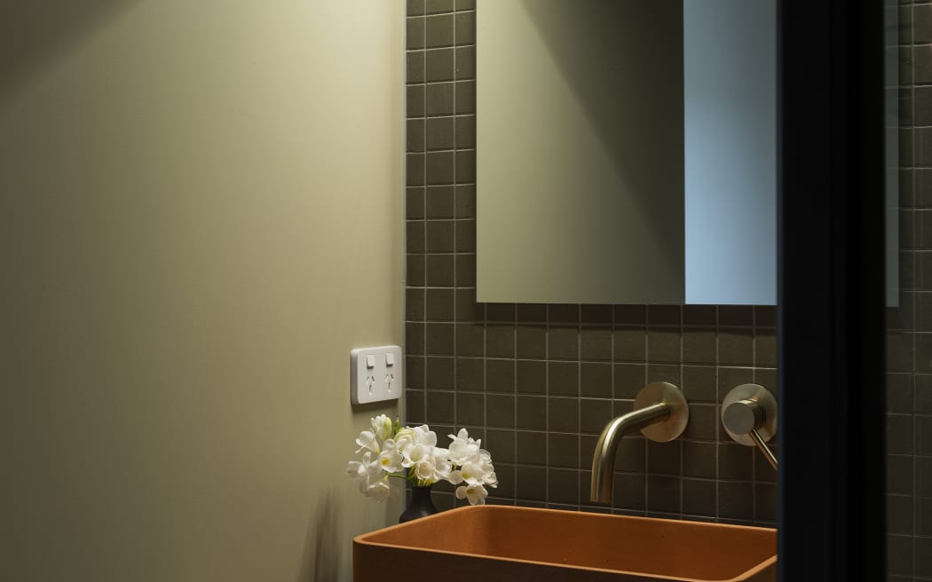 Wellington cohousing project complete what did they learn? RNZ