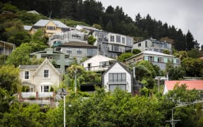 Houses around Lyttelton area in Christchurch