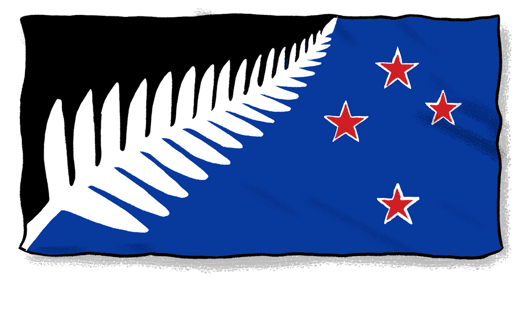 Flag failure Where did it go wrong? RNZ News