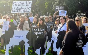 A protest organised by SAFE outside Parliament, calling for an end to the export of live farm animals.