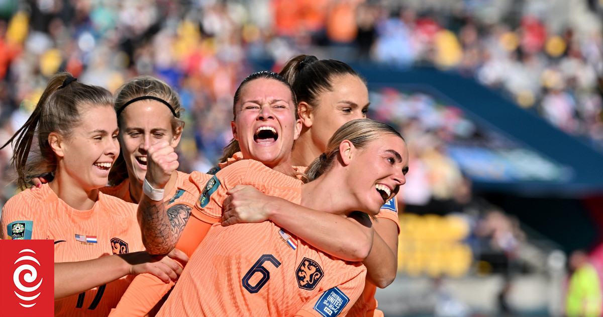 Champions United States held 1-1 by  Dutch in World Cup thriller