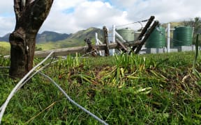 Fallen power poles a common sight in all of Fiji post-Cyclone Winston