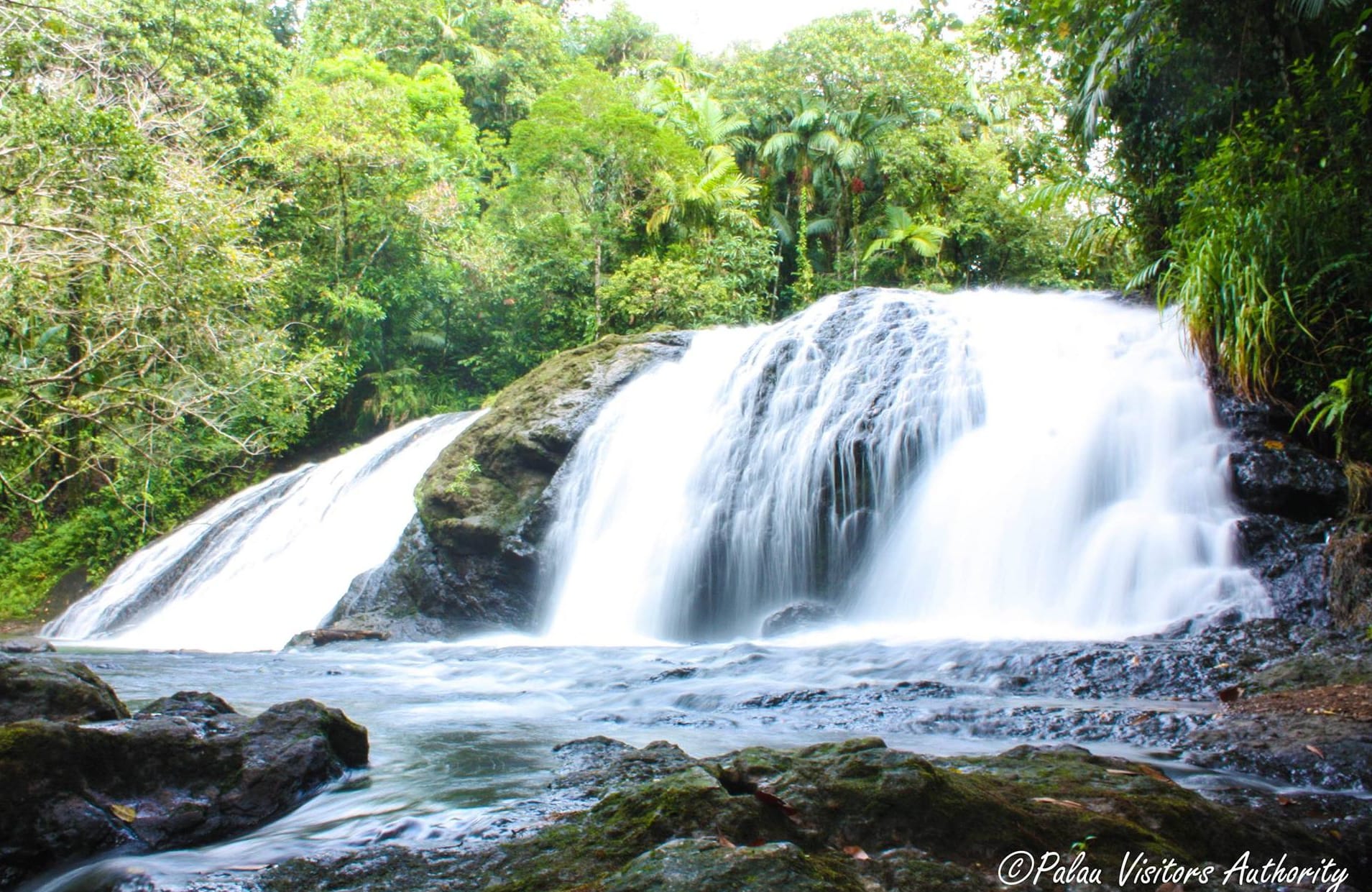 A waterfall in Palau