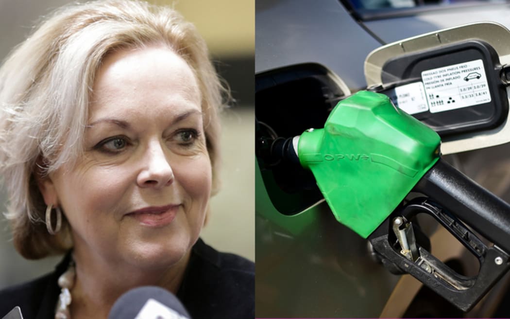Judith Collins has called for an investigation into how fair petrol and diesel prices are at the pump.
