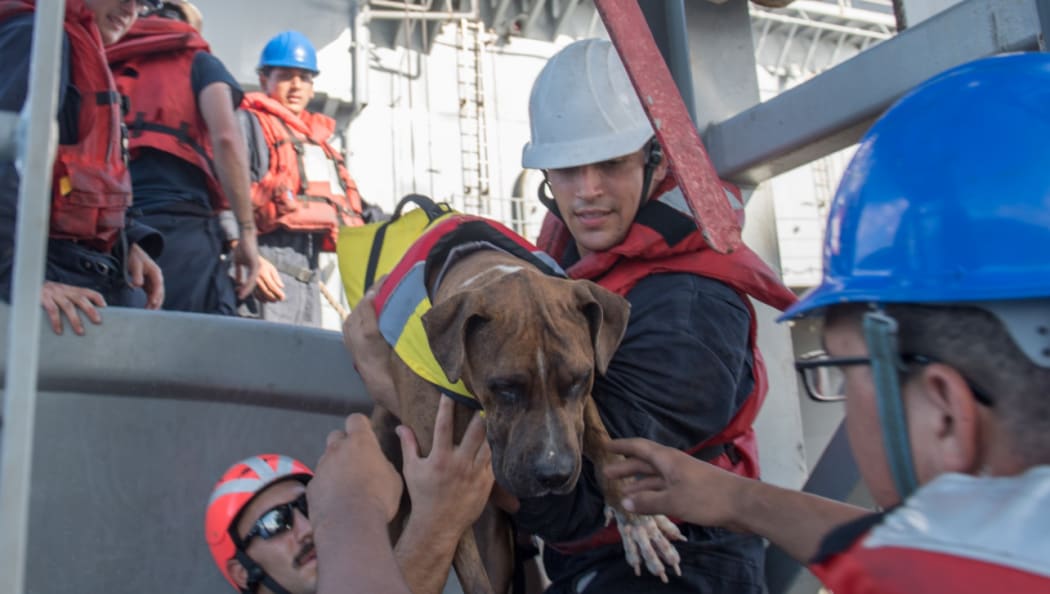 The women and their dog dogs were adrift in the Pacific for five months, officials say.