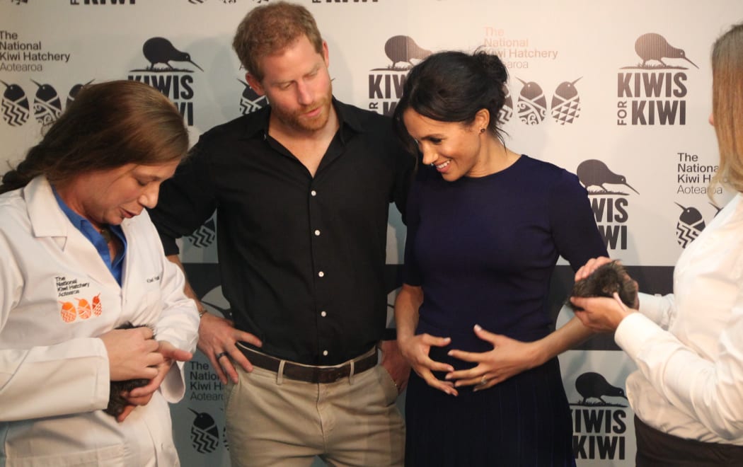 Royal Tour 2018
Kiwi Encounter husbandry manager Emma Bean, left, holds Tihei, while Kiwi For Kiwis' Michelle Impey, right, holds Koha as the Duke and Duchess of Sussex, Harry & Meghan get an up-close and personal experience with NZ Kiwi
NZME photograph by Stephen Parke 31 October 2018