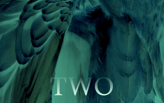 Ghostly sickly green feathers are reminiscent of churning water, the word "Two" is imposed over the image.