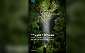 Te Mana O Te Taiao - biodiversity plan 2020.