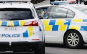 Two cars used in Auckland burglary getaway - police