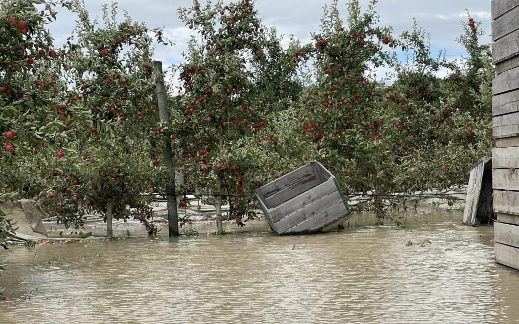 A flooded Hawke's Bay orchard after Cyclone Gabrielle.