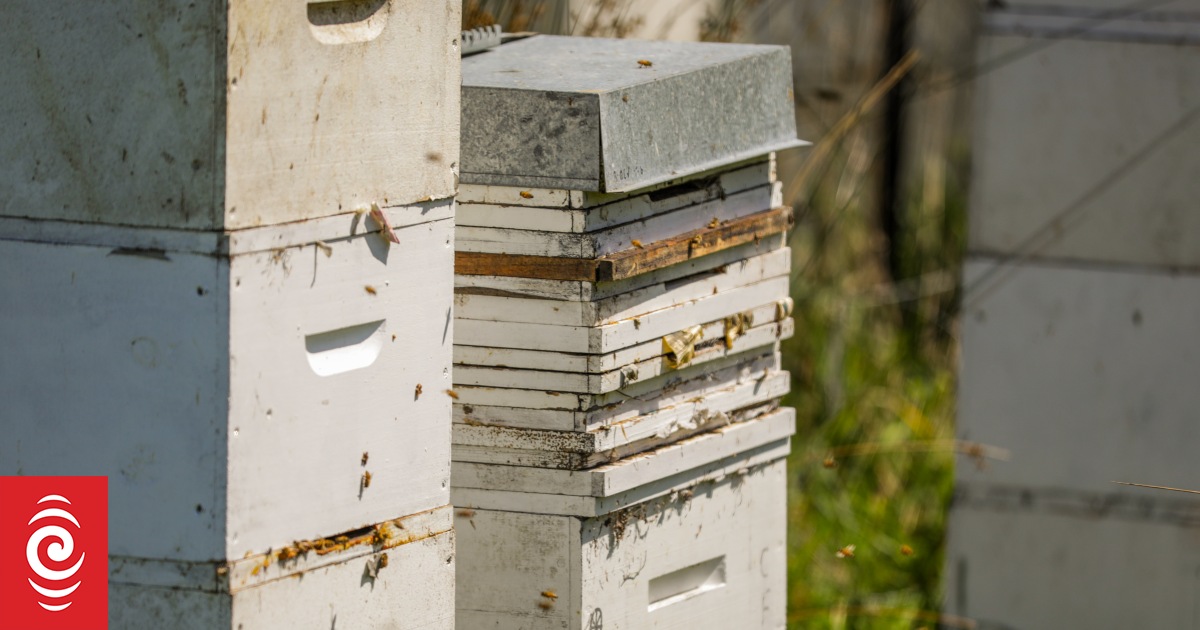 Aotearoa group not appealing lost mānuka honey case - Vimarsana News