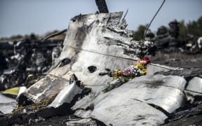 Wreckage of Malaysia Airlines flight MH17 in eastern Ukraine, a week after the plane came down.