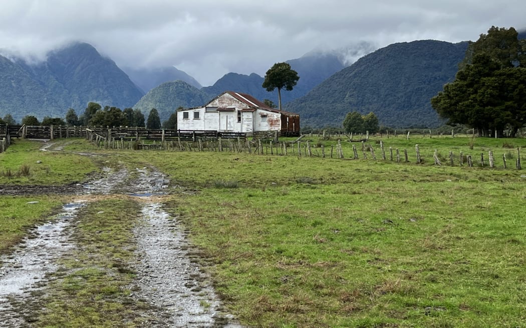 The Waiho Flat area continues to support about 20 families undertaking a range of traditional pastoral farming and dairying.