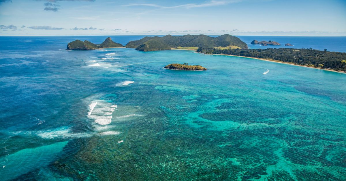 Un étudiant redécouvre une blatte « éteinte » sur l’île Lord Howe