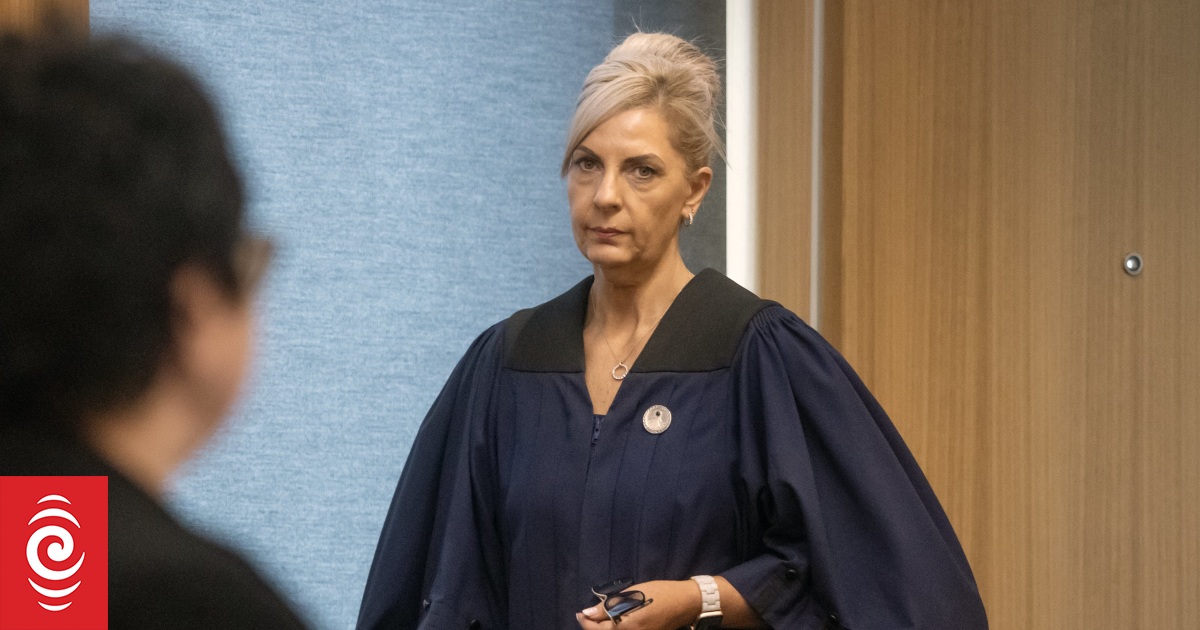 Christchurch terror attack inquest: 'Significant blind spot' relating to St John's specialist paramedics - coroner - Vimarsana News