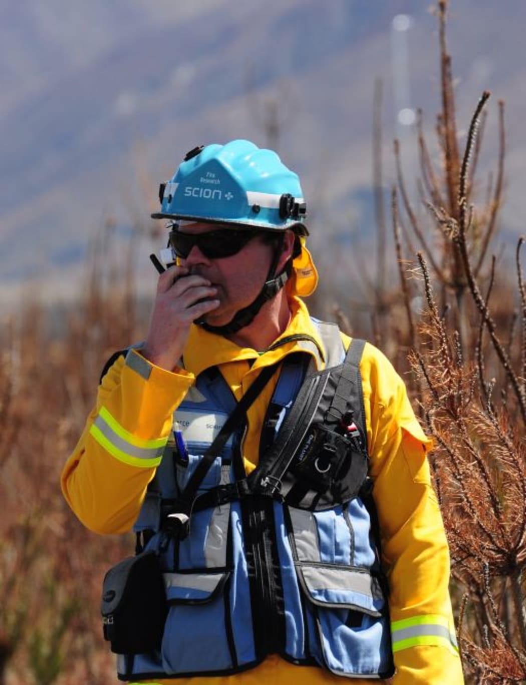 Grant Pearce, a fire scientist at Scion, leads the experimental burn-off project.
