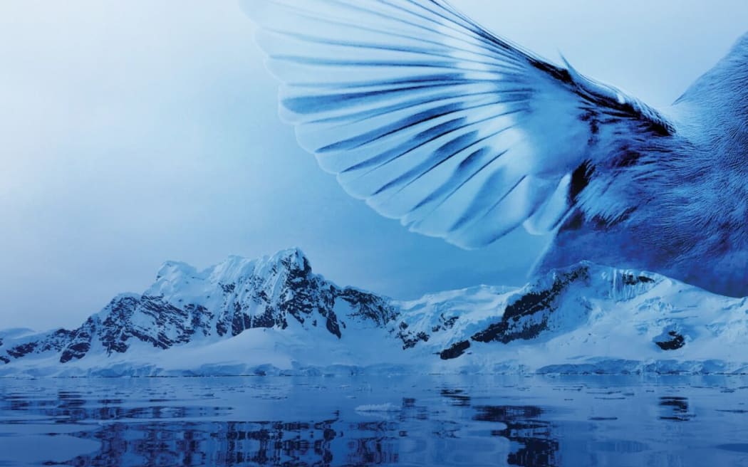 Publicity graphic for Reimagining Mozart. The outstretched wing of a bird hovers above an icy seascape.