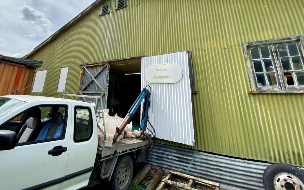 The olive green wool shed is having its third lease on life after once being a hangar, it's now a mushroom farm.