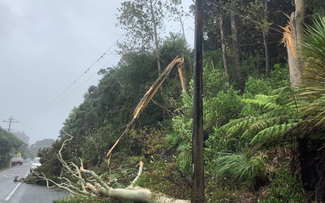 Cyclone winds have caused major damage to the Northpower network, much of it from trees falling through lines.