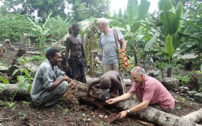 Scientists Sean Marshall and Bob Macfarlane expaining Coconut Rhinoceros Beetle invasion to Solomon Islands villagers
