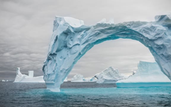 Iceberg Valentine