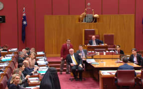 Pauline Hanson returns to the Australian Senate wearing a burka.