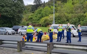 The protest group which has disrupted Wellington traffic this week have again been removed off a motorway by police, this time in Melling.