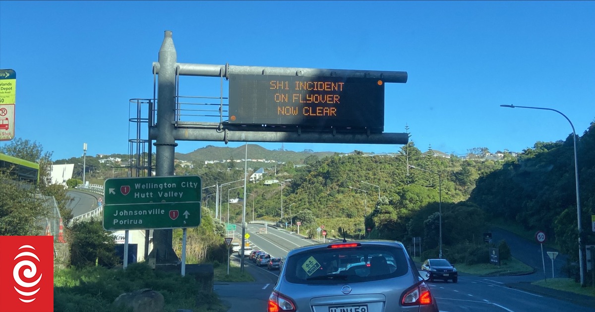 Protesters cause traffic chaos in Wellington, block lanes on Ngauranga Gorge flyover - Vimarsana News
