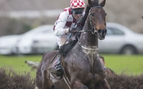 Amanood Lad ridden by Craig Thornton on the way to victory at the Great Northern Steeplechase in 2014.