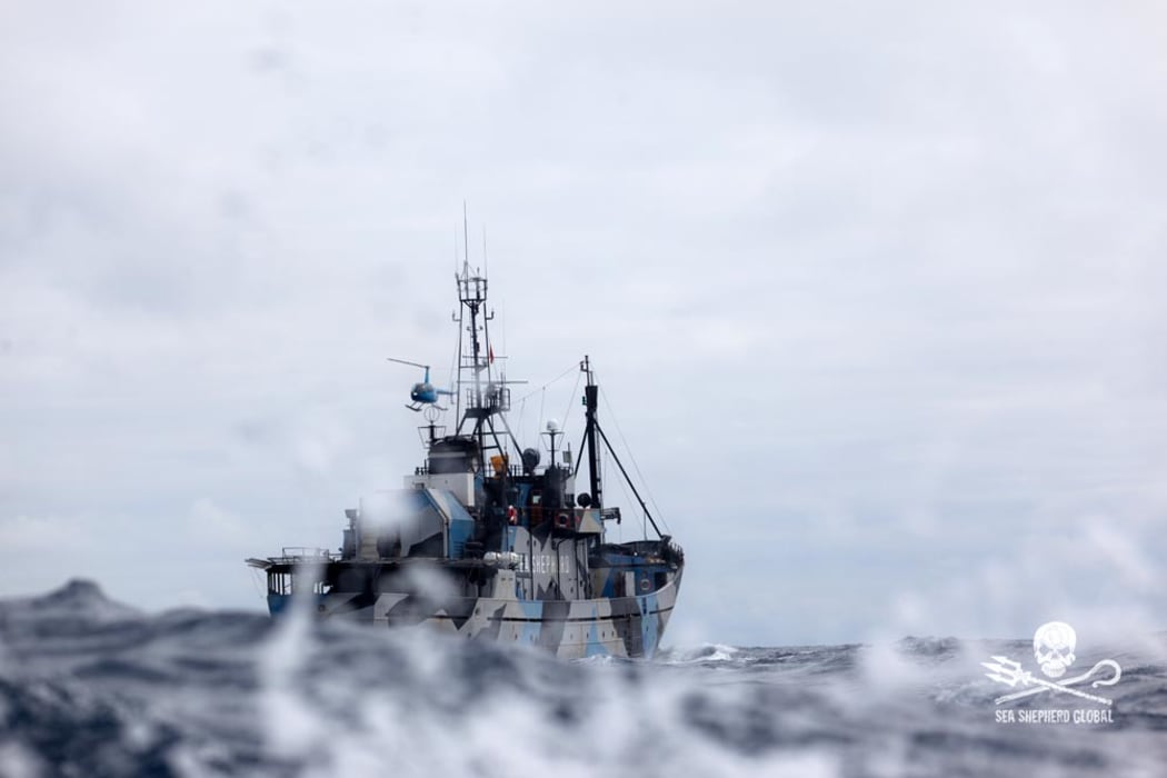 The Sea Shepherd's ship Steve Irwin.