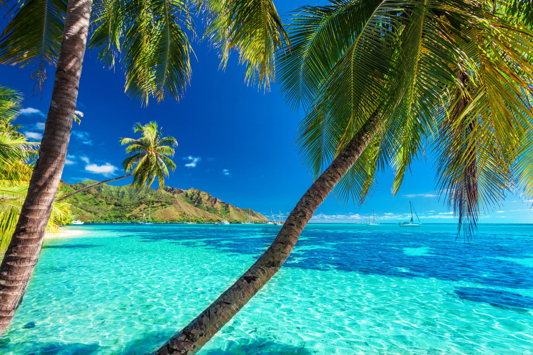 A tropical beach scene on Moorea in French Polynesia
