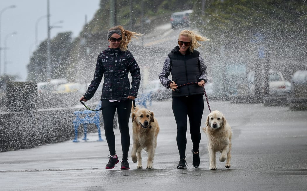 Keen walkers Carey Morrison and Benson the dog (left) and Susie Harris and Ella the dog right (right) getting smashed by the wild spray down Oriental Parade, Wellington.