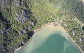 Sediment released into Pelorus Sound after Laurie Forestry's skid site failed.