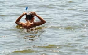 A child in a snorkel and mask peers into a river while swimming.