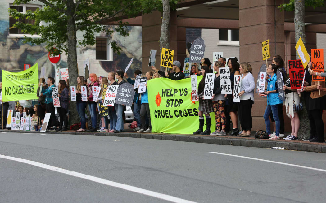 Protesters outside the Environment Court in Auckland campaign against a planned caged hen farm.