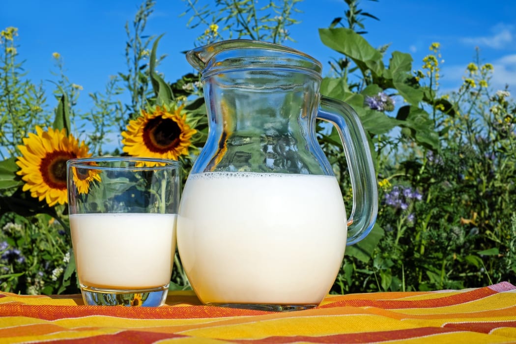 Milk jug and glass with milk