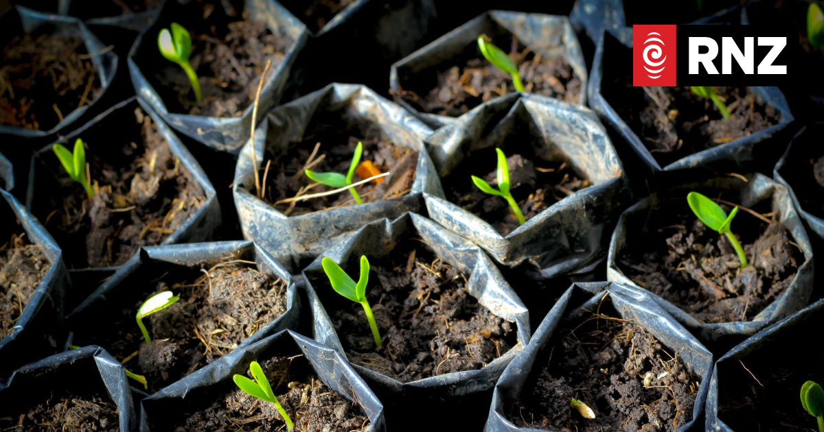 Climate Venture Capital Fund invests nearly $2.5m across NZ and Australia - Vimarsana News