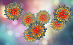 Measles viruses. 3D illustration showing structure of measles virus with surface glycoprotein spikes heamagglutinin-neuraminidase and fusion protein.