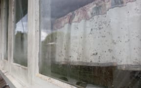 Black mould growing on the windows of the second house.