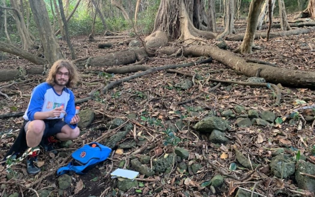 Maxim Adams bajo la higuera donde redescubrió la cucaracha de la isla de Lord Howe.