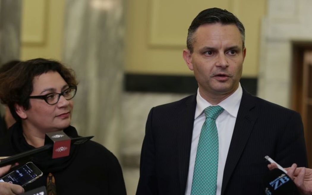 Metiria Turei and James Shaw, after the announcement Mrs Turei would resign as Greens co-leader.