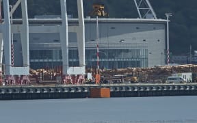 Lifting out the last container that fell into Wellington Harbour after high wind pushed them in on Friday.