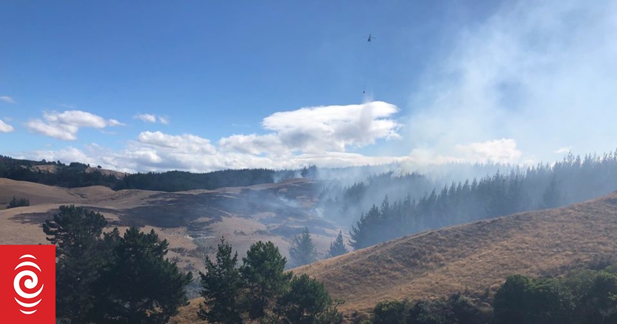 Two guilty of lighting fires in tinderdry Tasman in 2019 RNZ