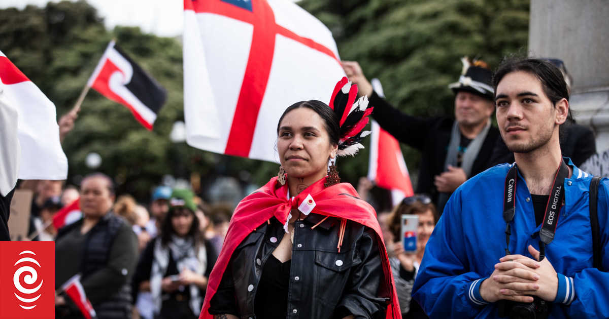 National Māori Action Day - Te Pāti Māori protests in pictures - Vimarsana News