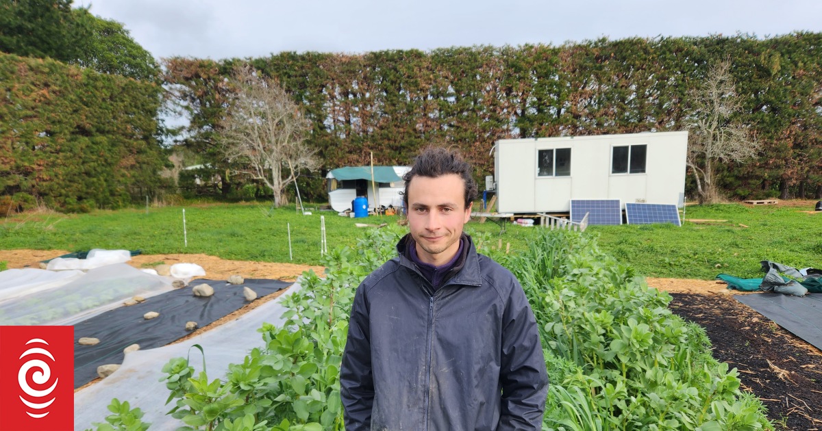 Just pay what you can, says Ōtaki vege grower - Vimarsana News