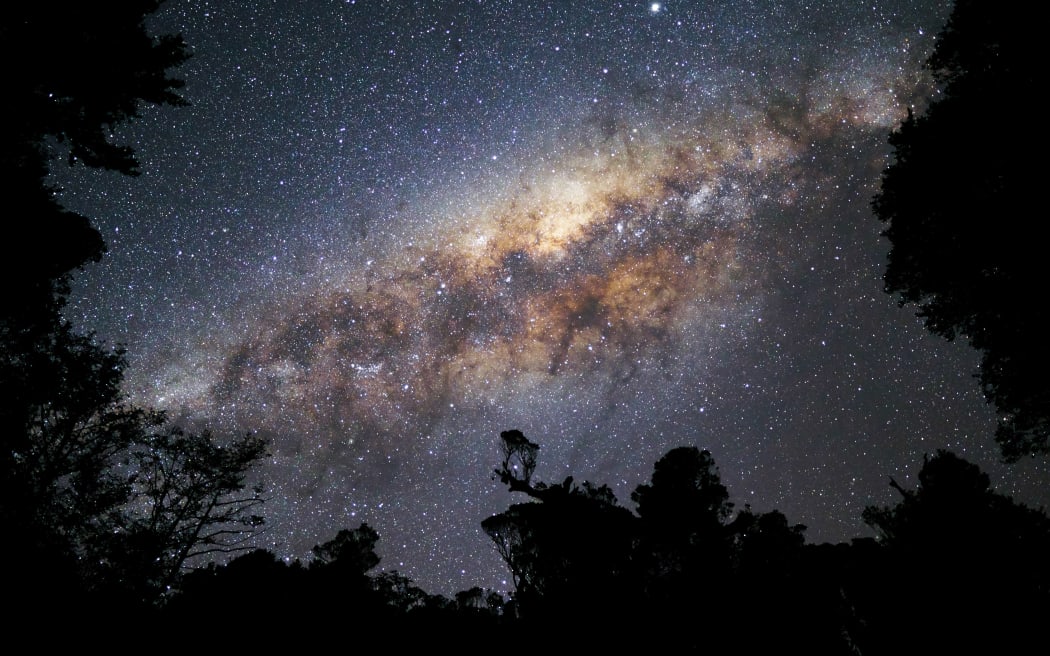 A long-exposure landscape shot of the night sky with the Milky Way fringed by the dark silhouettes of trees.