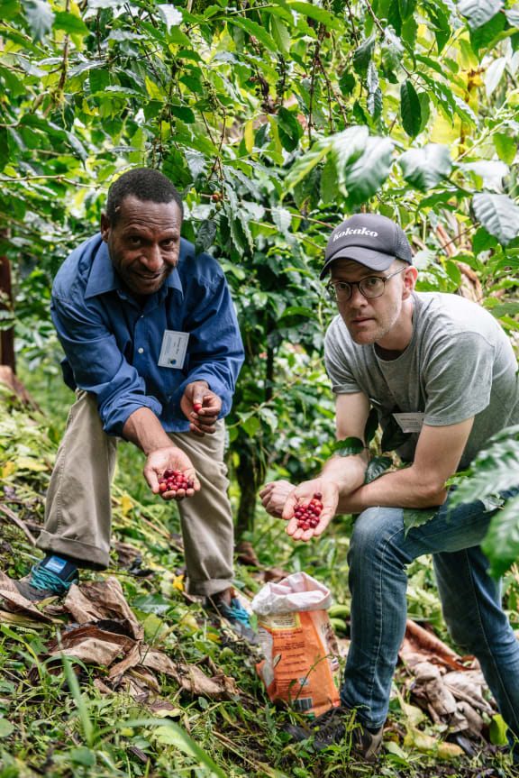 Sewege Moa of HOAC and Mike Murphy of Kokako discuss best-practice in coffee cherry harvesting.