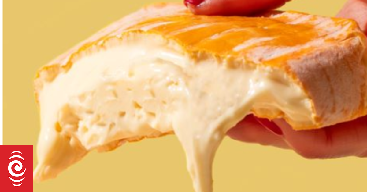 Minger: Is this the world's stinkiest cheese? - Vimarsana News