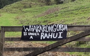 Hapū in Northland are willing to occupy a mountain in Hokianga to stop the construction of a cell phone tower.