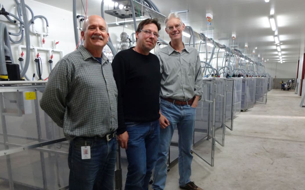 The team behind the discovery (from left): Ron Ronimus, Stefan Muetzel and Peter Janssen, with a row of respiration chambers they used to test methane-inhibiting compounds in sheep.